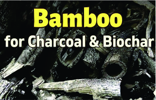 STRC Gadchiroli - Towards a Circular Bamboo Economy in Gadchiroli