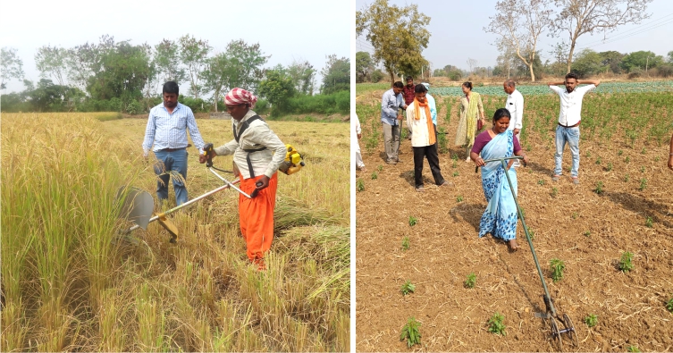 Beyond Beneficiaries - Women Shaping Grassroots Technological Change in Rural and Tribal Contexts