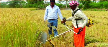 Beyond Beneficiaries- Women Shaping Grassroots Technological Change in Rural and Tribal Contexts