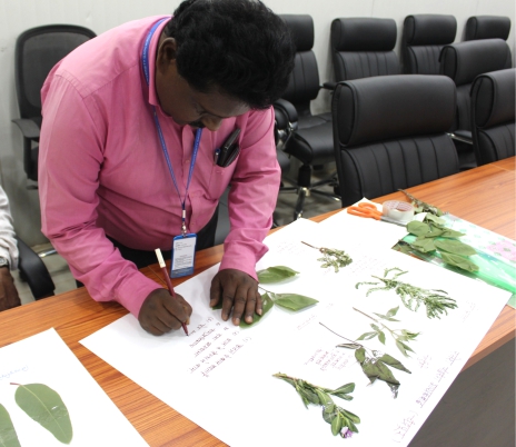 4.Indigenous Knowledge Systems