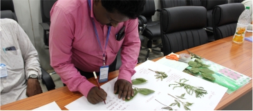 Indigenous Knowledge Systems as Pathways to Livelihoods in Gadchiroli - thumbnail..