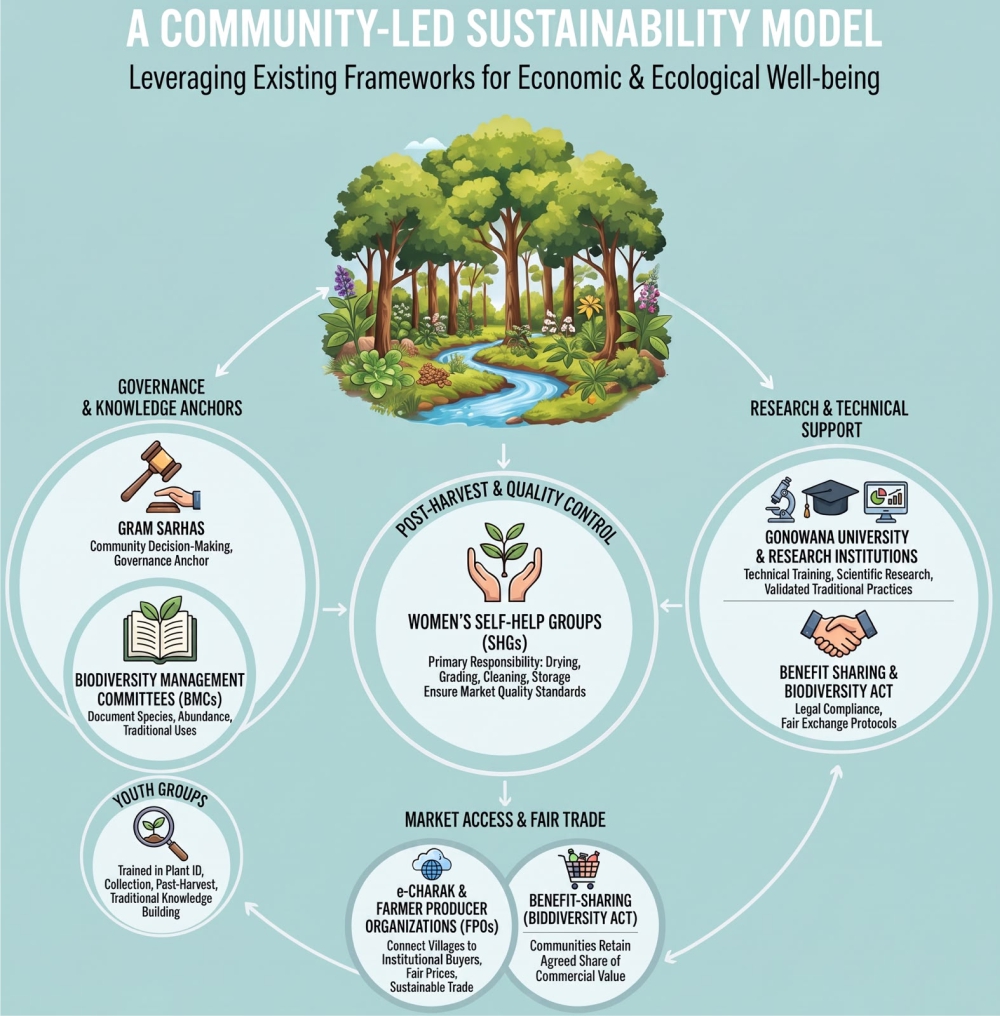 Medicinal Plant Conservation